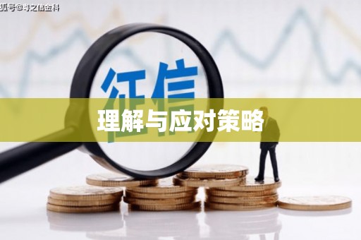 宣州理解与应对策略